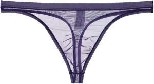 Men's Mesh Sheer Low Rise Briefs U Raised Thong 2025 Date Night